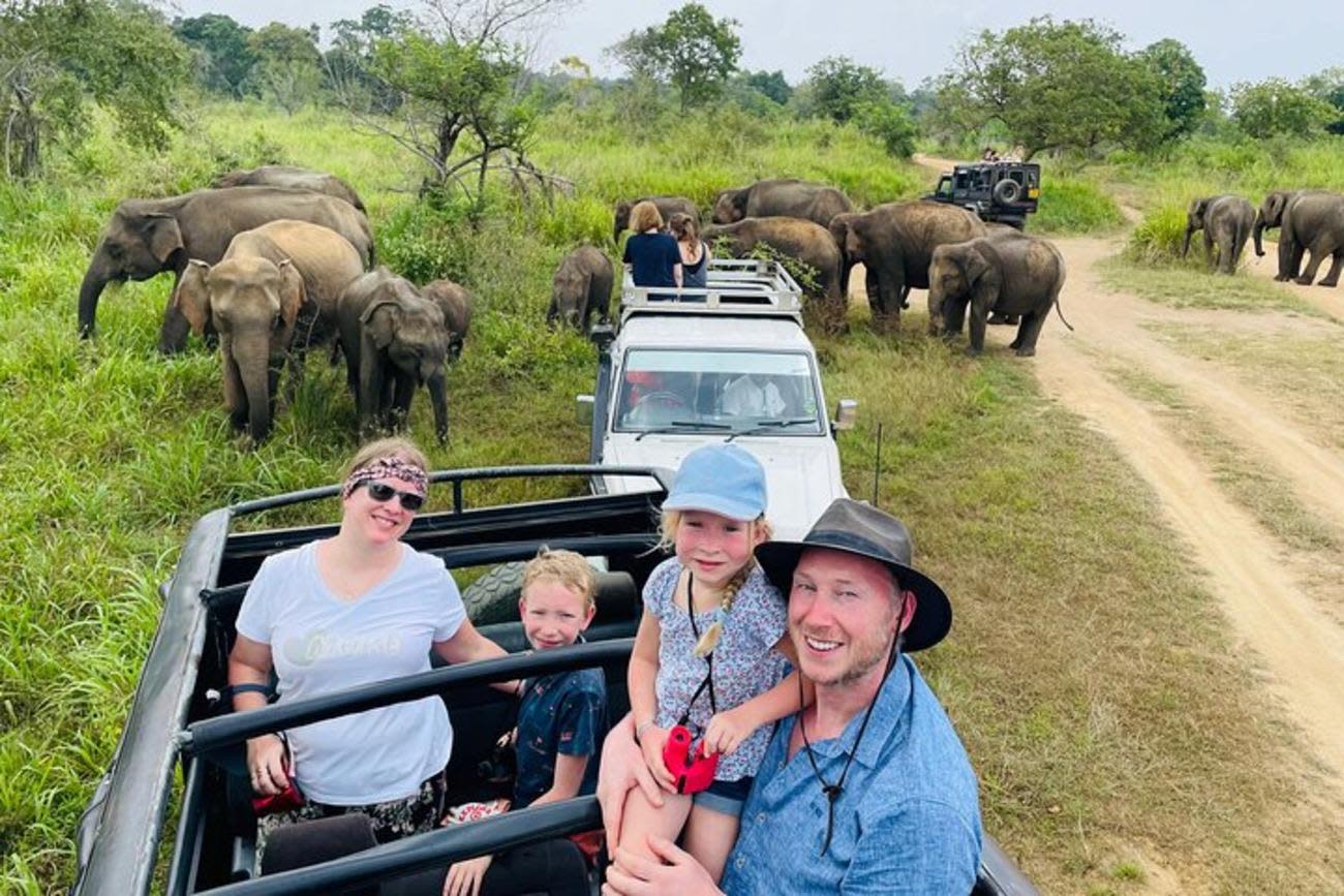 Udawalawe Elephant Safari and Transit Home Private Day Trip