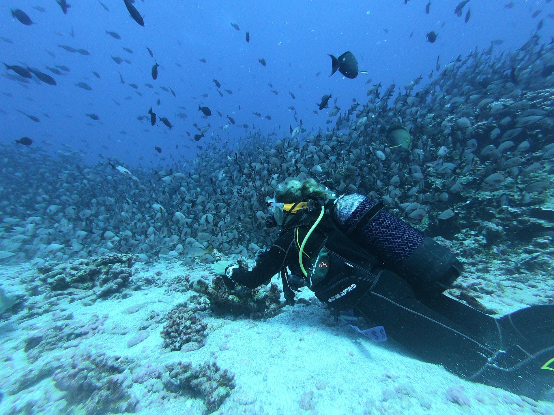 Hikkaduwa Reef Scuba Diving Session