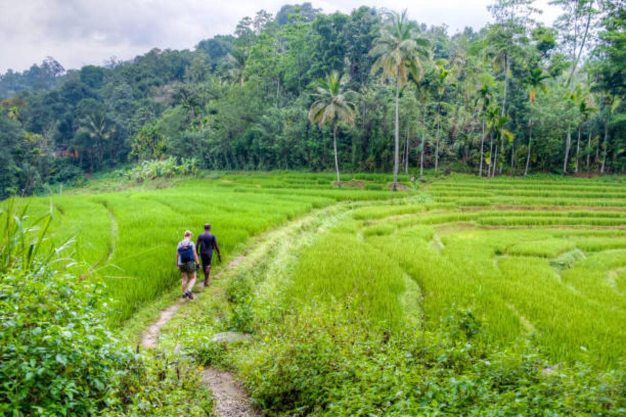 Heeloya Village Full-Day Tour from Kandy with Organic Farming and Lunch