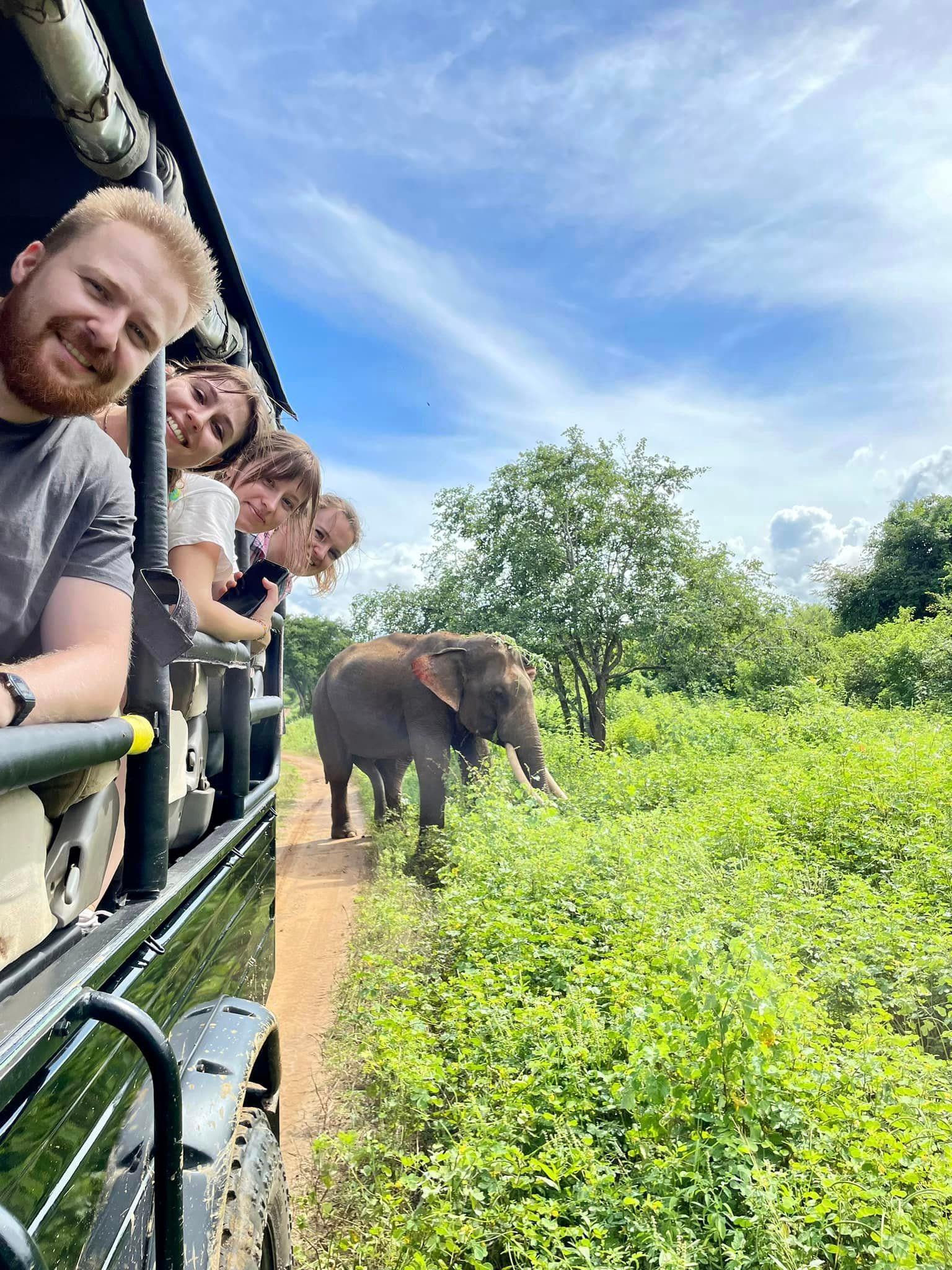 Udawalawe Safari and South Coast Transfer from Ella