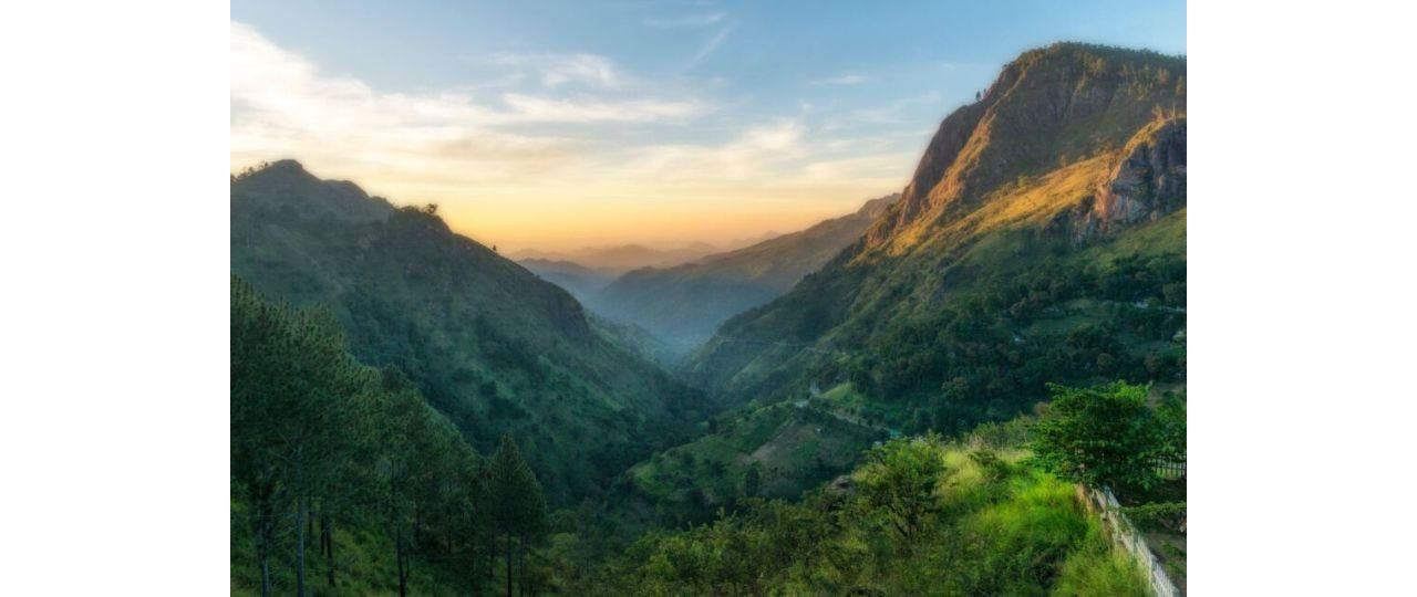 Ella Essentials Day Tour: Little Adam's Peak and the Nine Arch Bridge