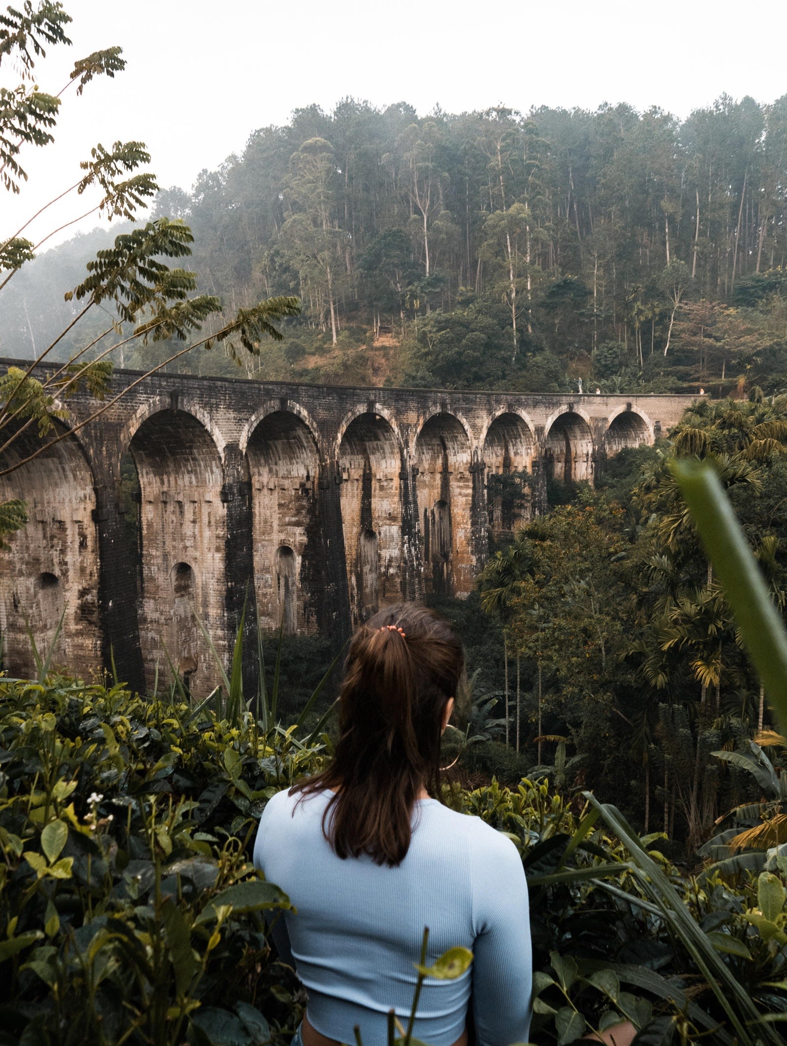 Ella Day Trip from Colombo or Negombo with a Tea Factory and the Nine Arch Bridge