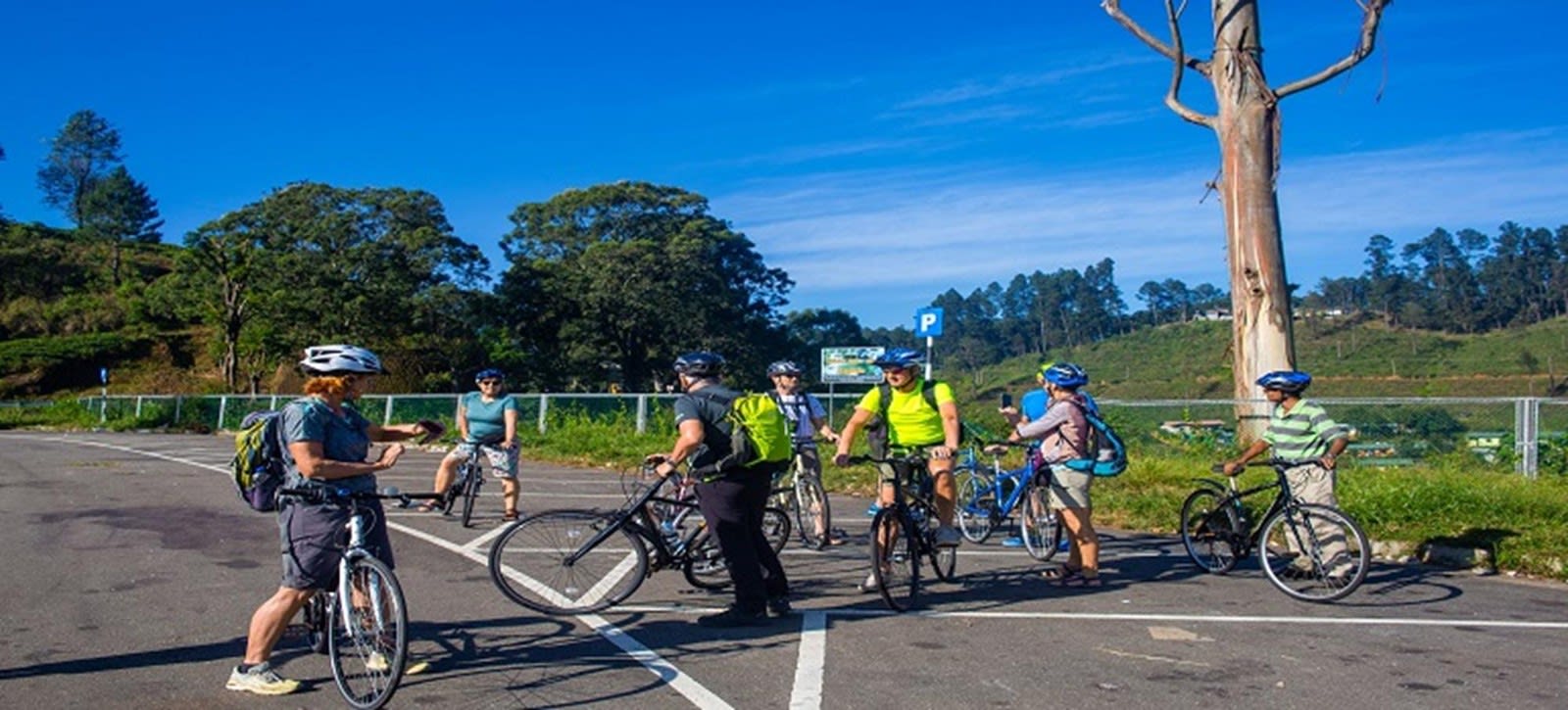Haputale to Ella Guided Cycling Tour through the Uva Tea Estates