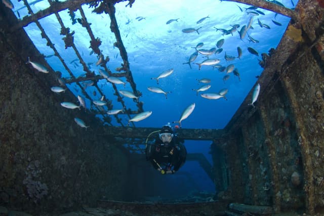 Colombo Jet Ski Ride to the Thermopylae Sierra Shipwreck