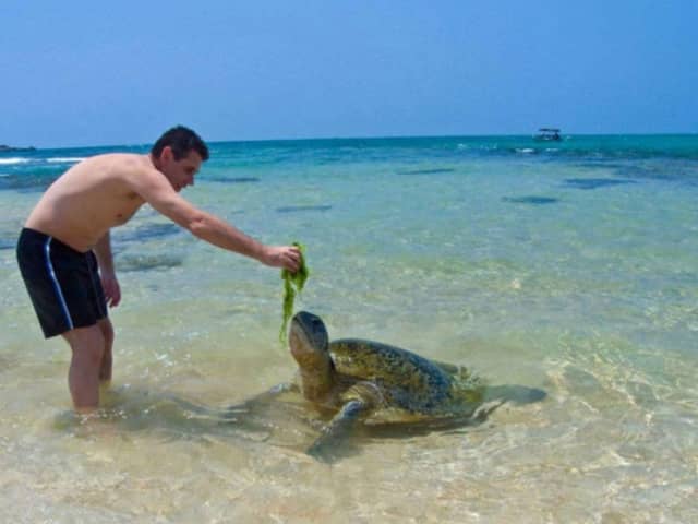 Galle Fort, Turtle Beach and Bentota Mangrove Safari Private Day Trip