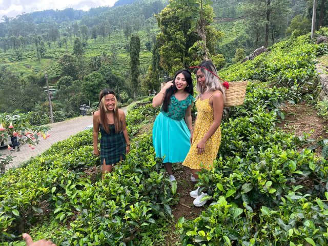 Nuwara Eliya Tea Country Day Trip from Colombo with High Tea