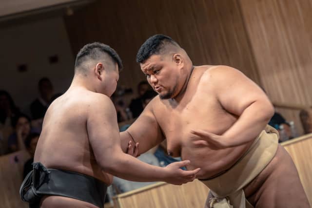 Sumo in Shinjuku: Live Bouts, Ring Challenge and Photos with the Wrestlers