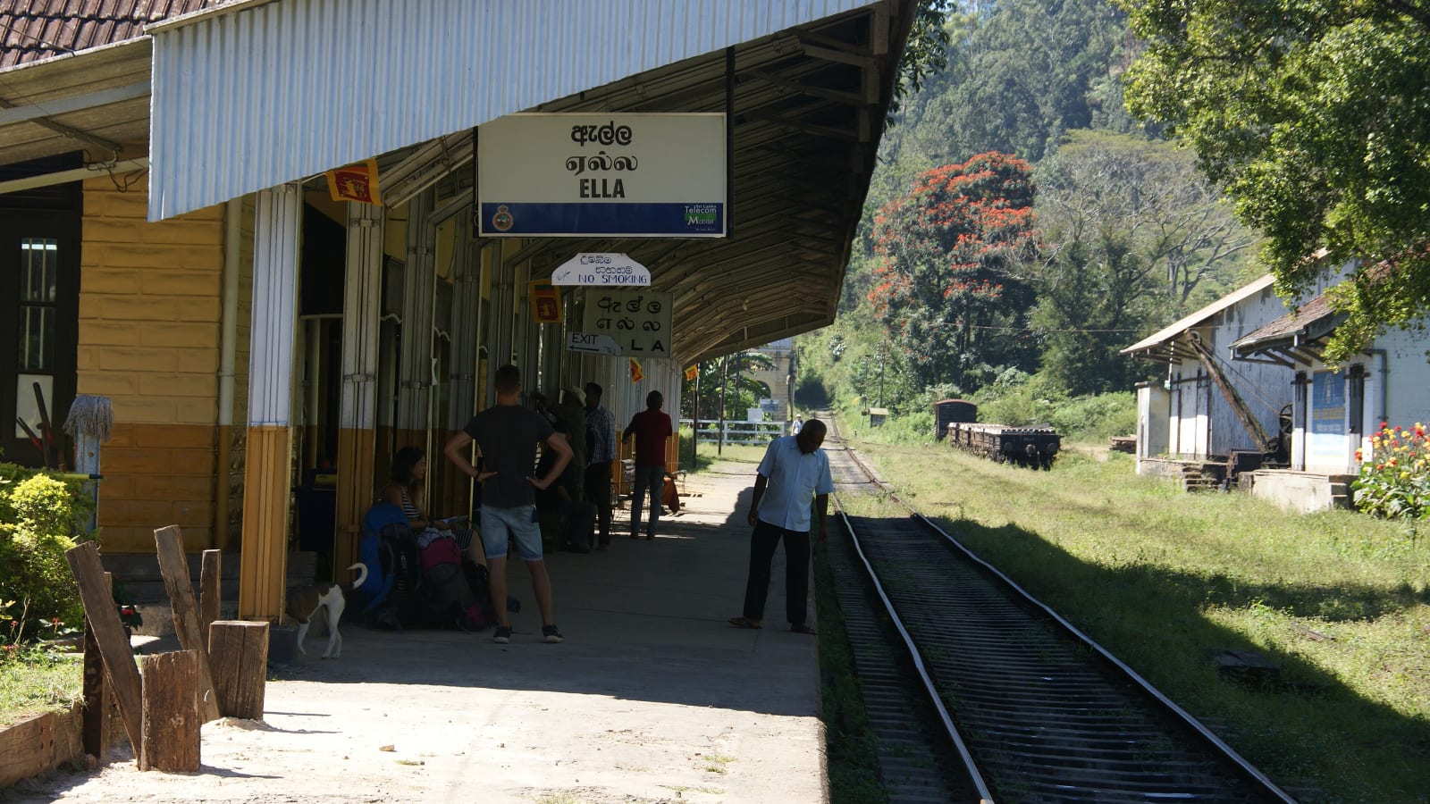 Ella tours and cultural experiences