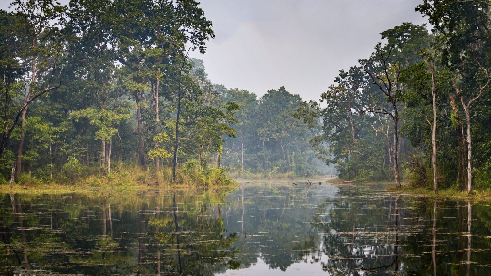 Chitwan tours and cultural experiences