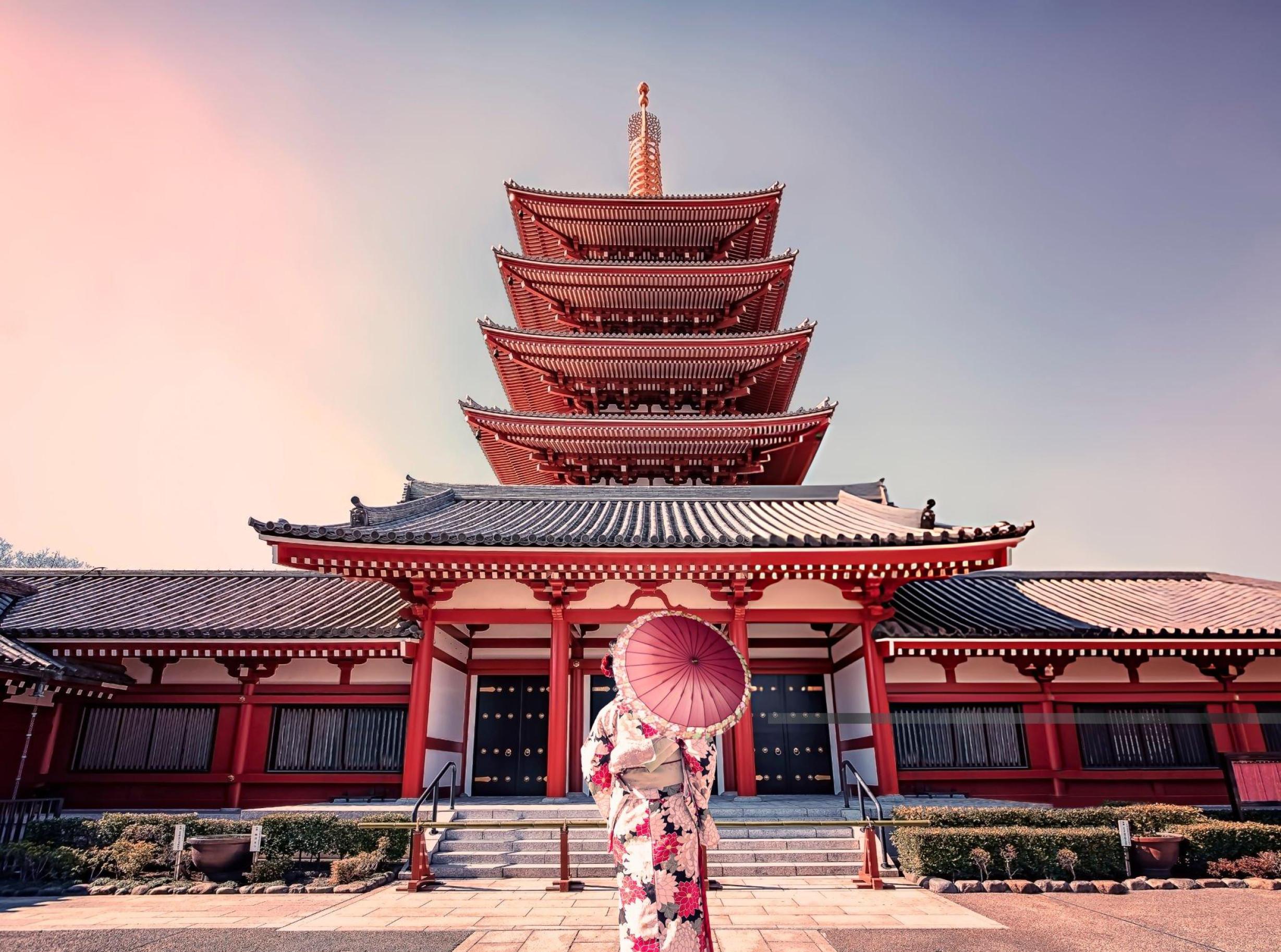 Tokyo Highlights in Half a Day with a Local Guide