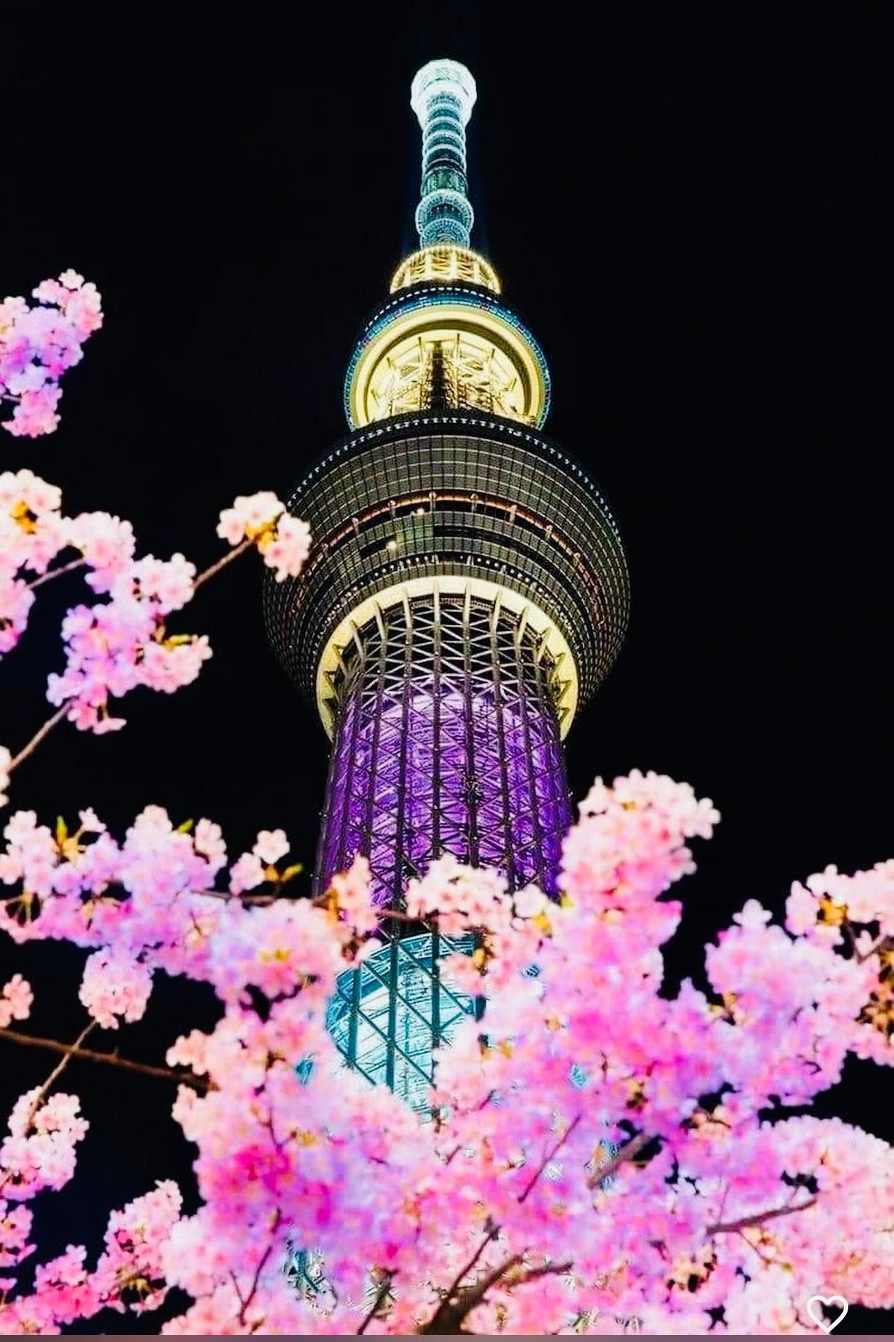Tokyo by Night: Private Car Tour with Hotel Pickup