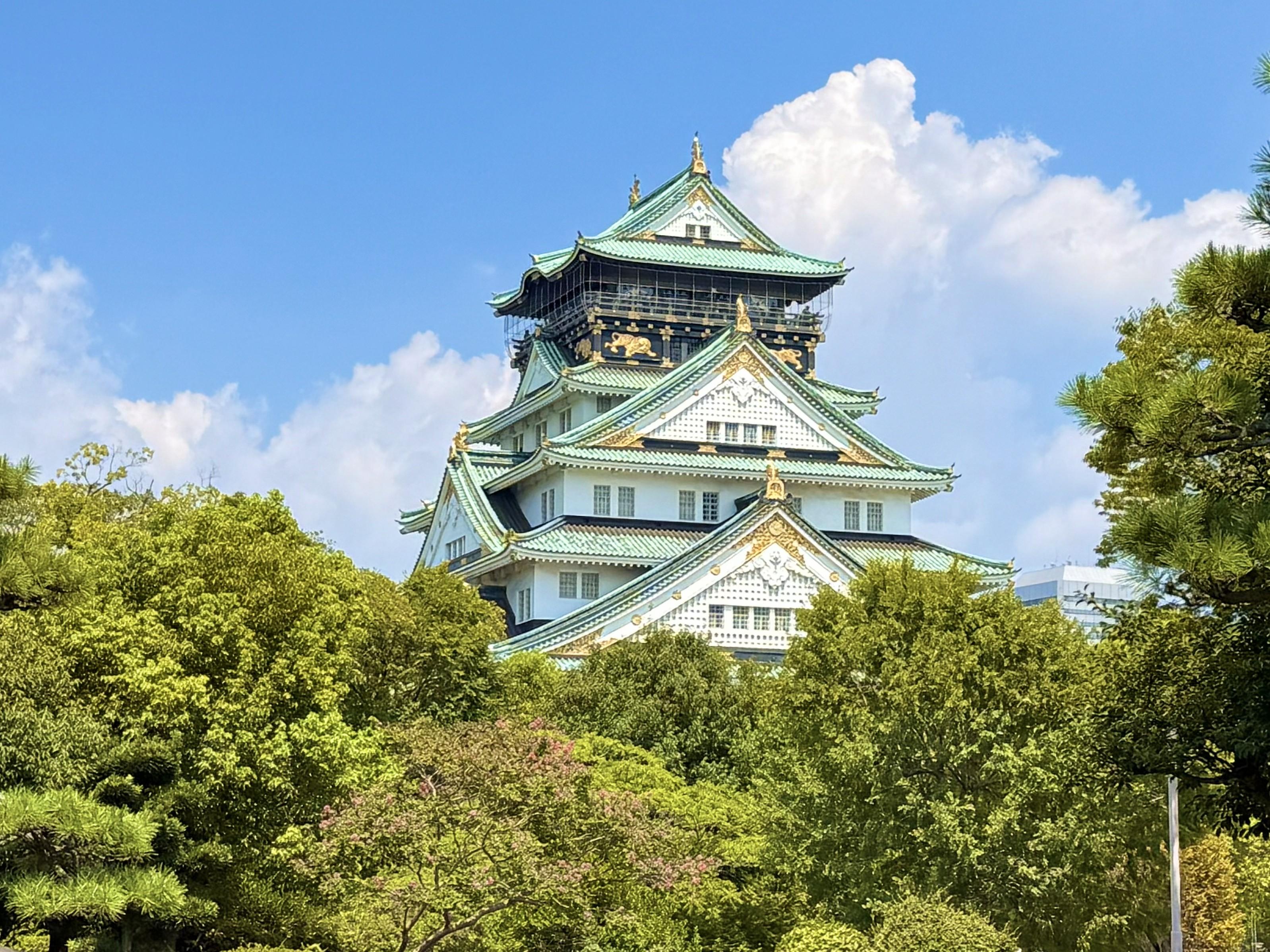 2hrs Guided tour Osaka Castle and Shrine with Local Guide