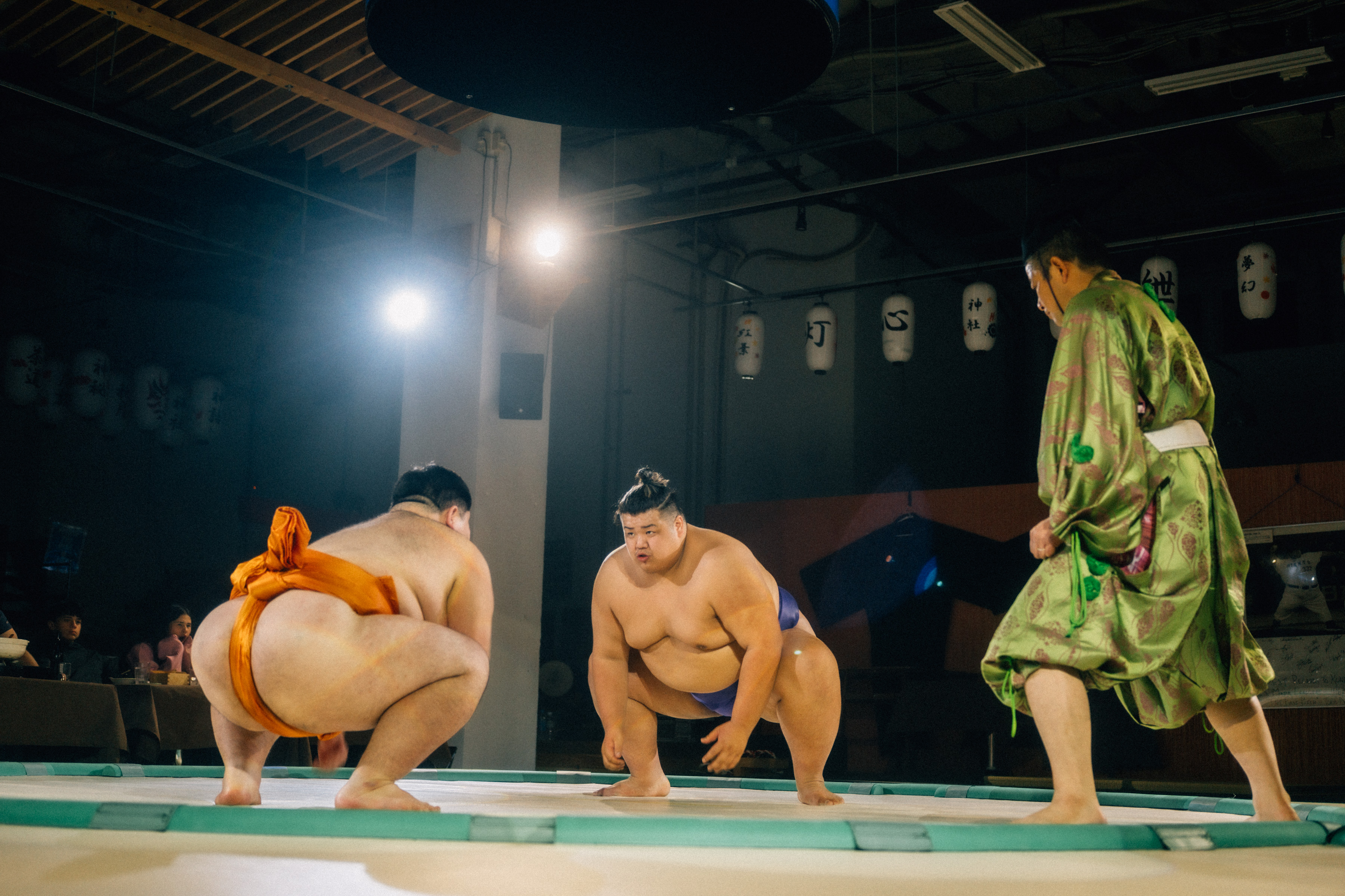 Sumo Experience Only Plan