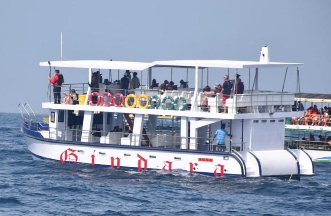 Mirissa Whale and Dolphin Watching Boat Trip with Breakfast