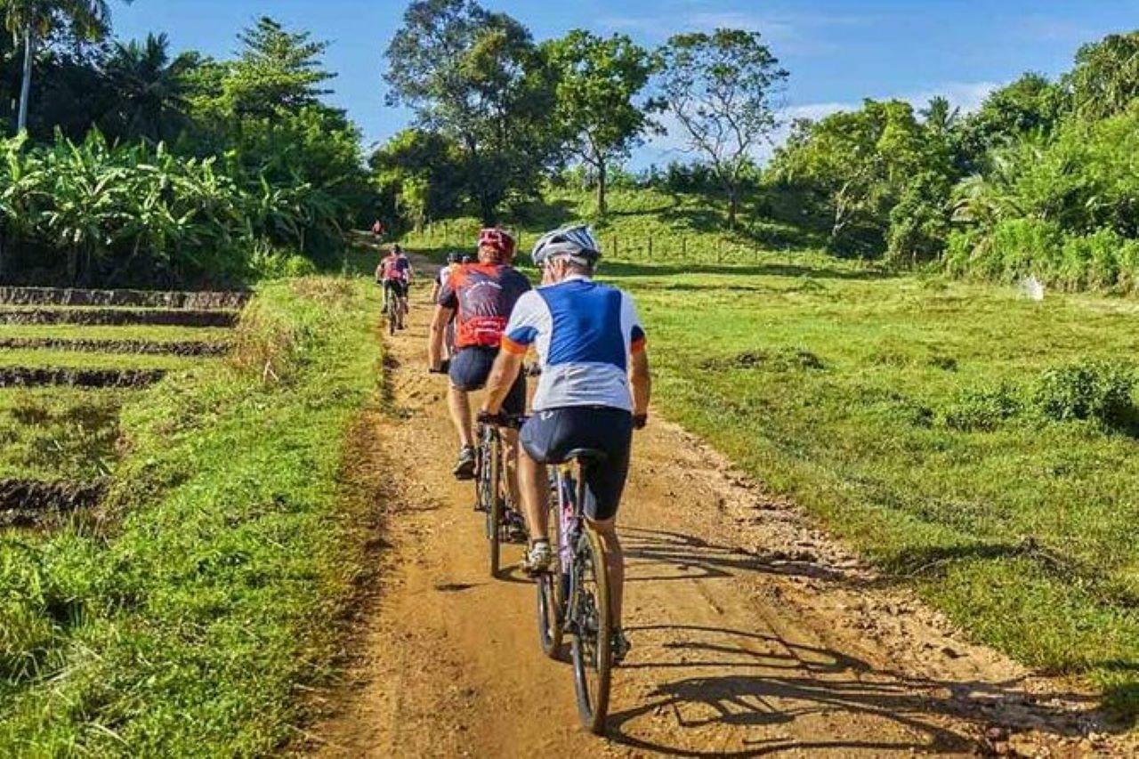 Galle Countryside Cycling Tour through Villages, Paddy Fields and Plantations