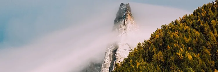 IaaS vs PaaS Which Is Right For Your Application?