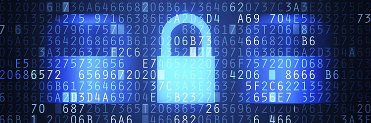 A Data Security Policy Makes Employees Accountable For Keeping Data Safe