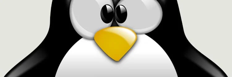 happy-twenty-fifth-birthday-linux-750×410