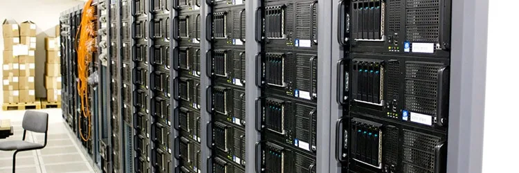 3462607995_150a6b2624_b