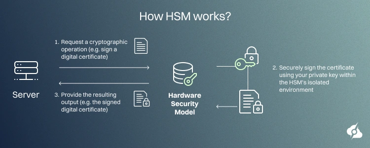 Hsm Icon What is a Hardware Security Module? | ServerMania