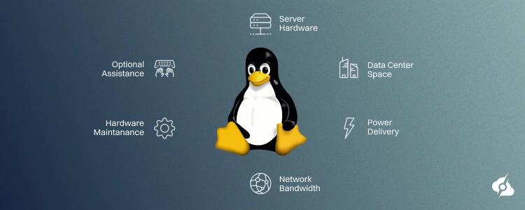 Linux server cost segements.