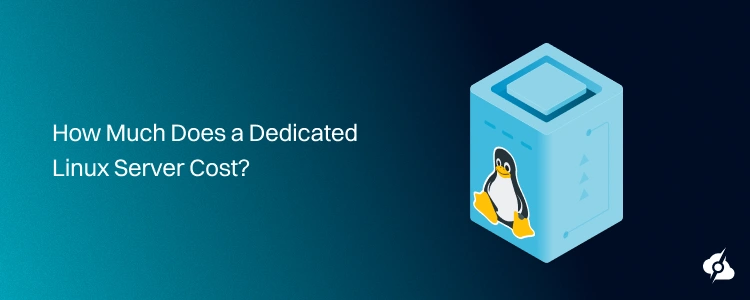 How Much Does a Dedicated Linux Server Cost?