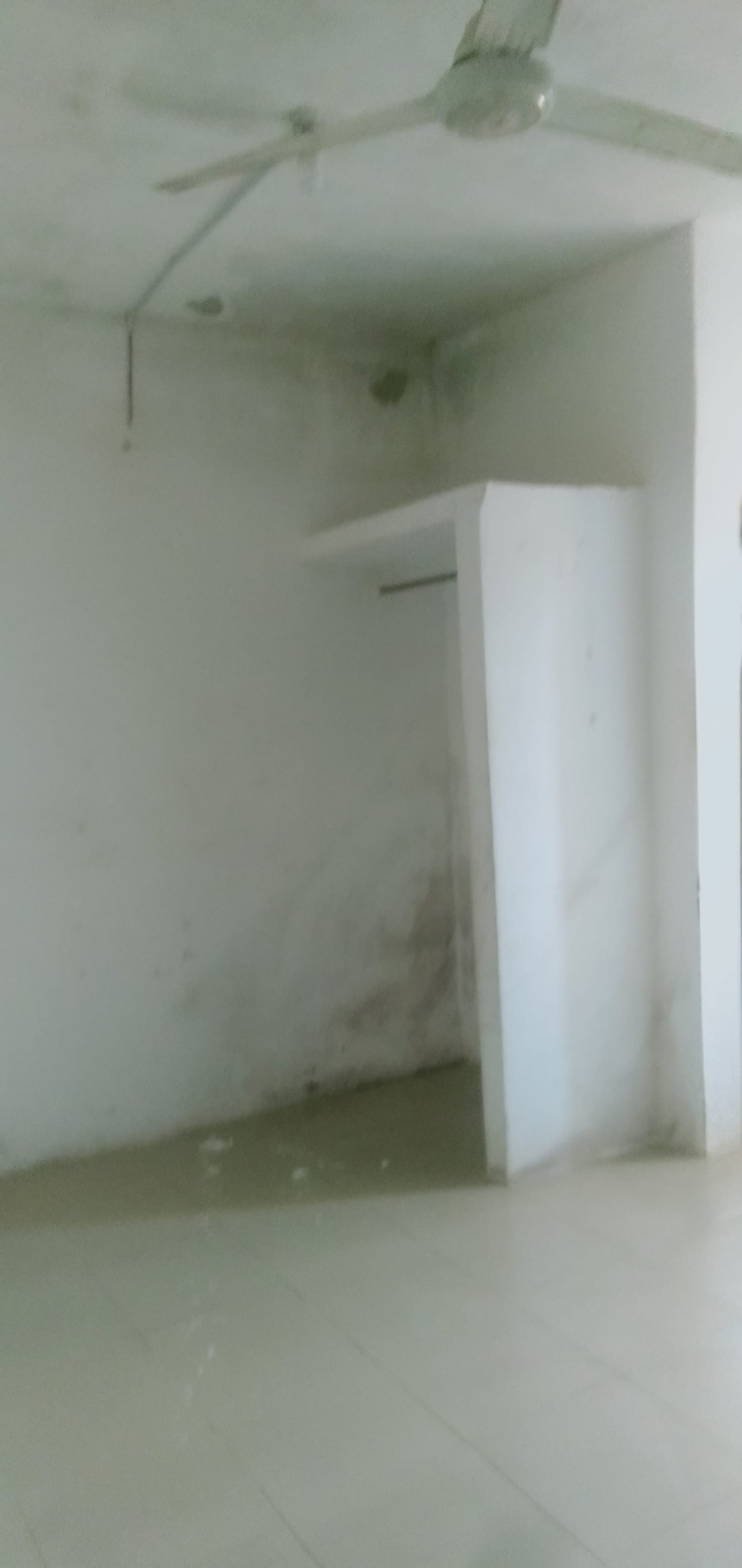 Self Contained in Eket photo 1