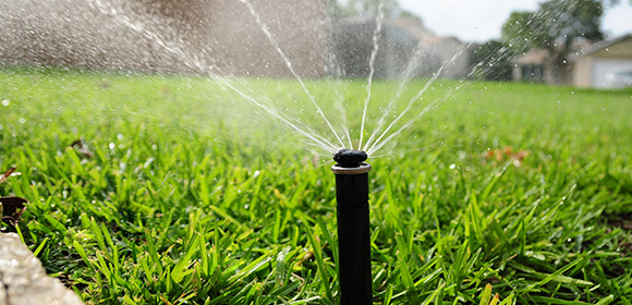 Irrigação paisagística para jardins - Jacobucci