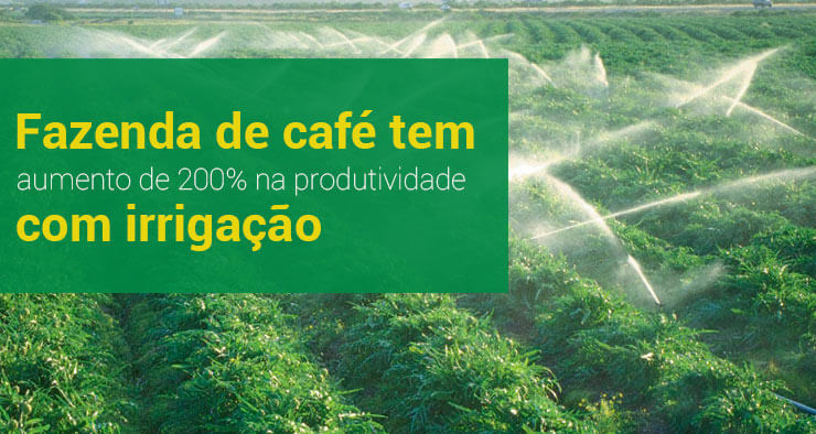 Café Conilon: sistema de irrigação