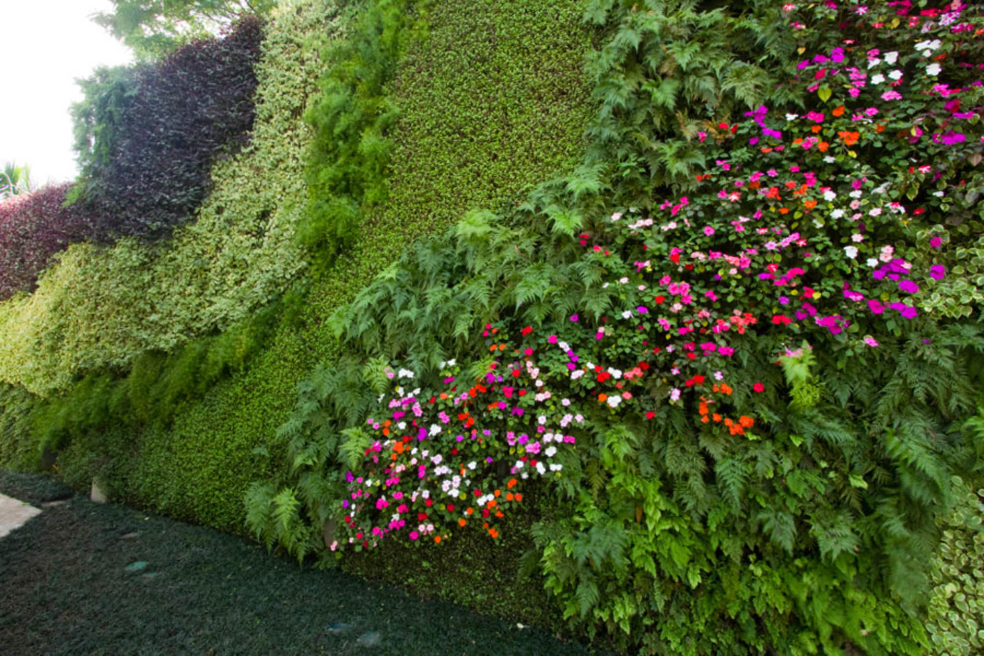 Veja como montar um jardim vertical em sua casa - Jacobucci