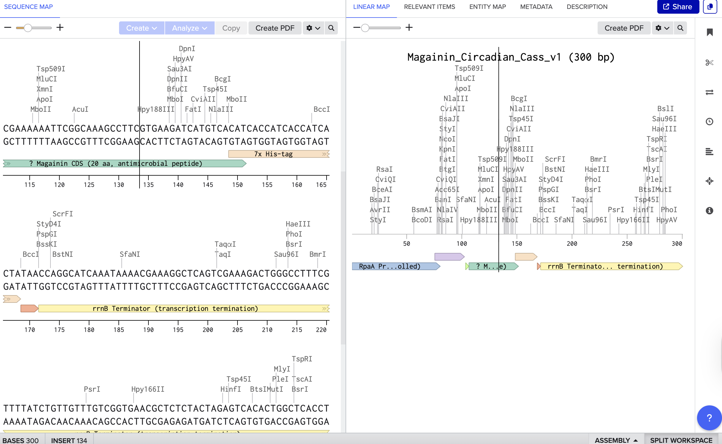 Benchling plasmid