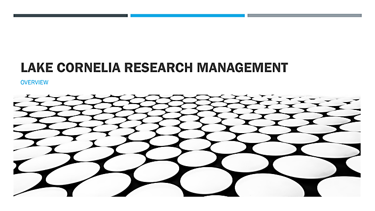 Lake Cornelia Research Management - Investor Presentation