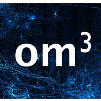 OM3 Logo