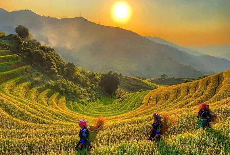 Sapa mountain valley