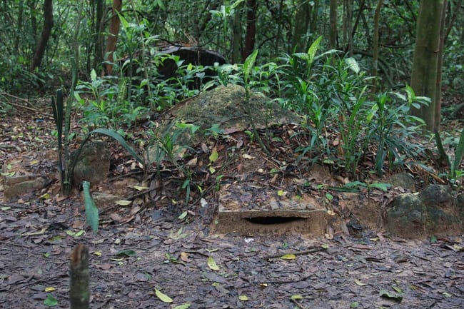 Cu Chi tunnel entrance in the forest