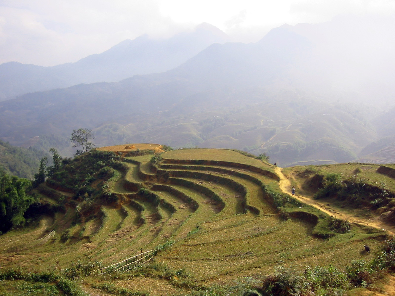 Northern Vietnam
