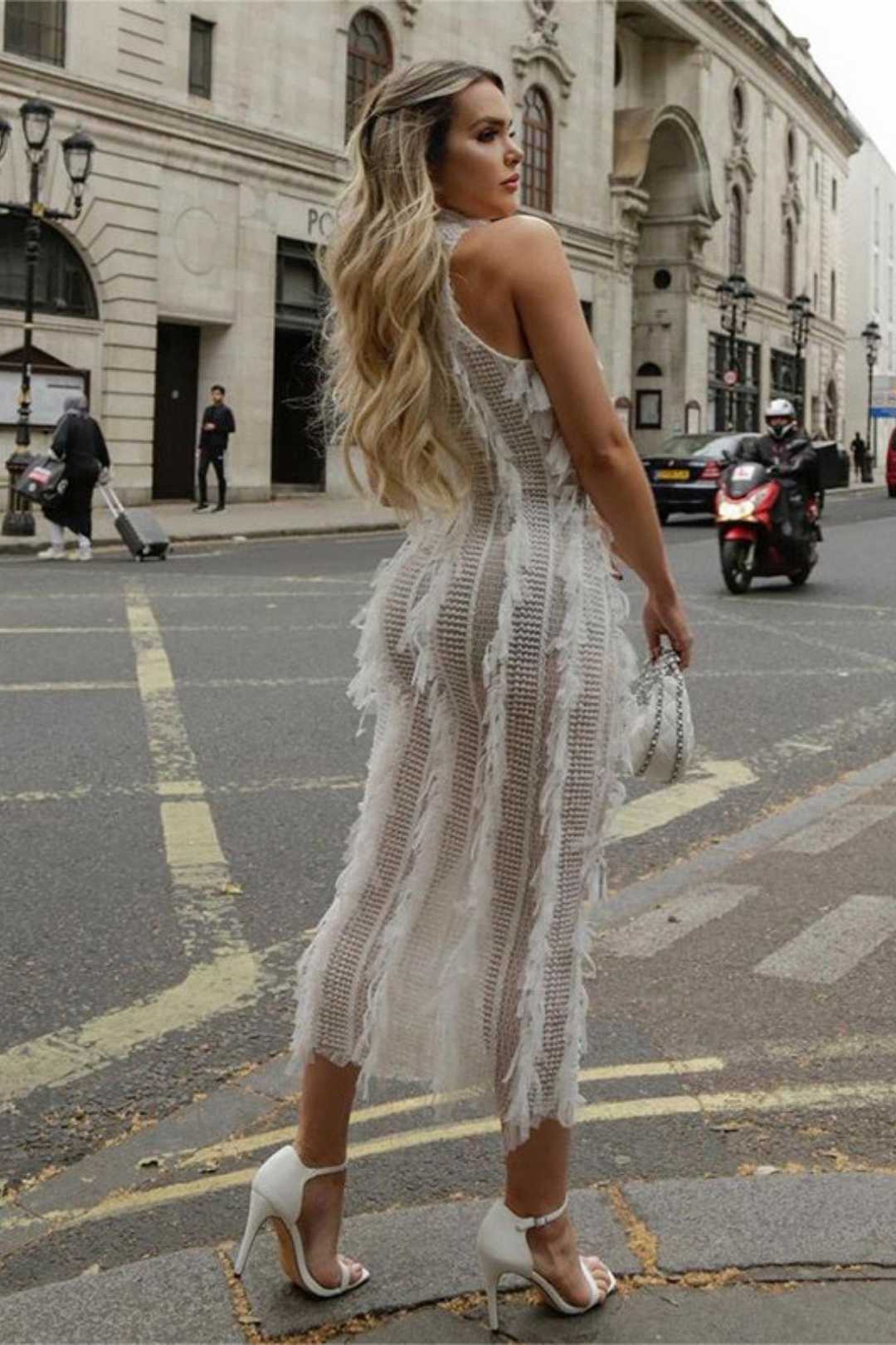 Tassel See-through Slim Fit Elegant See-through Mesh Dress