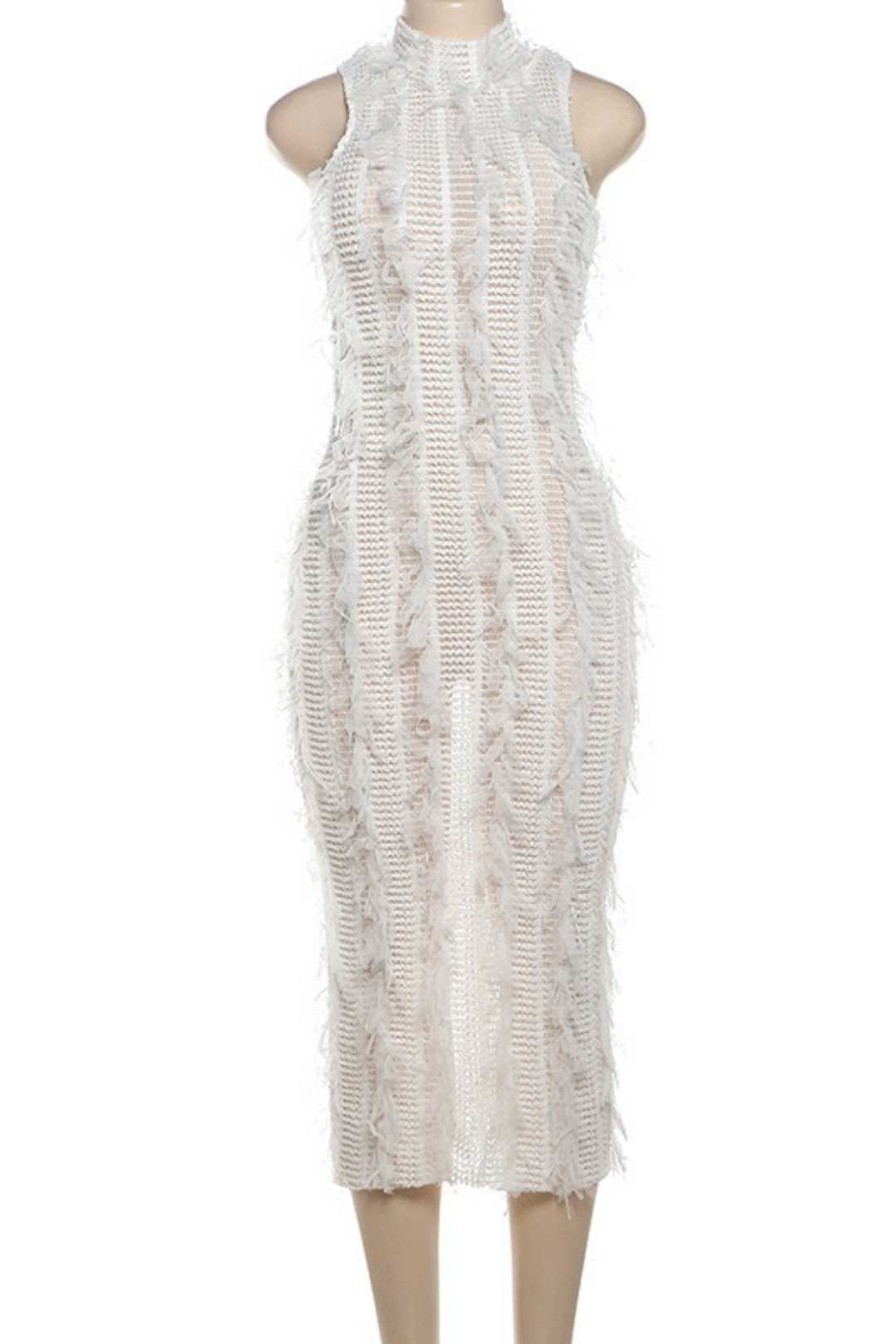 Tassel See-through Slim Fit Elegant See-through Mesh Dress