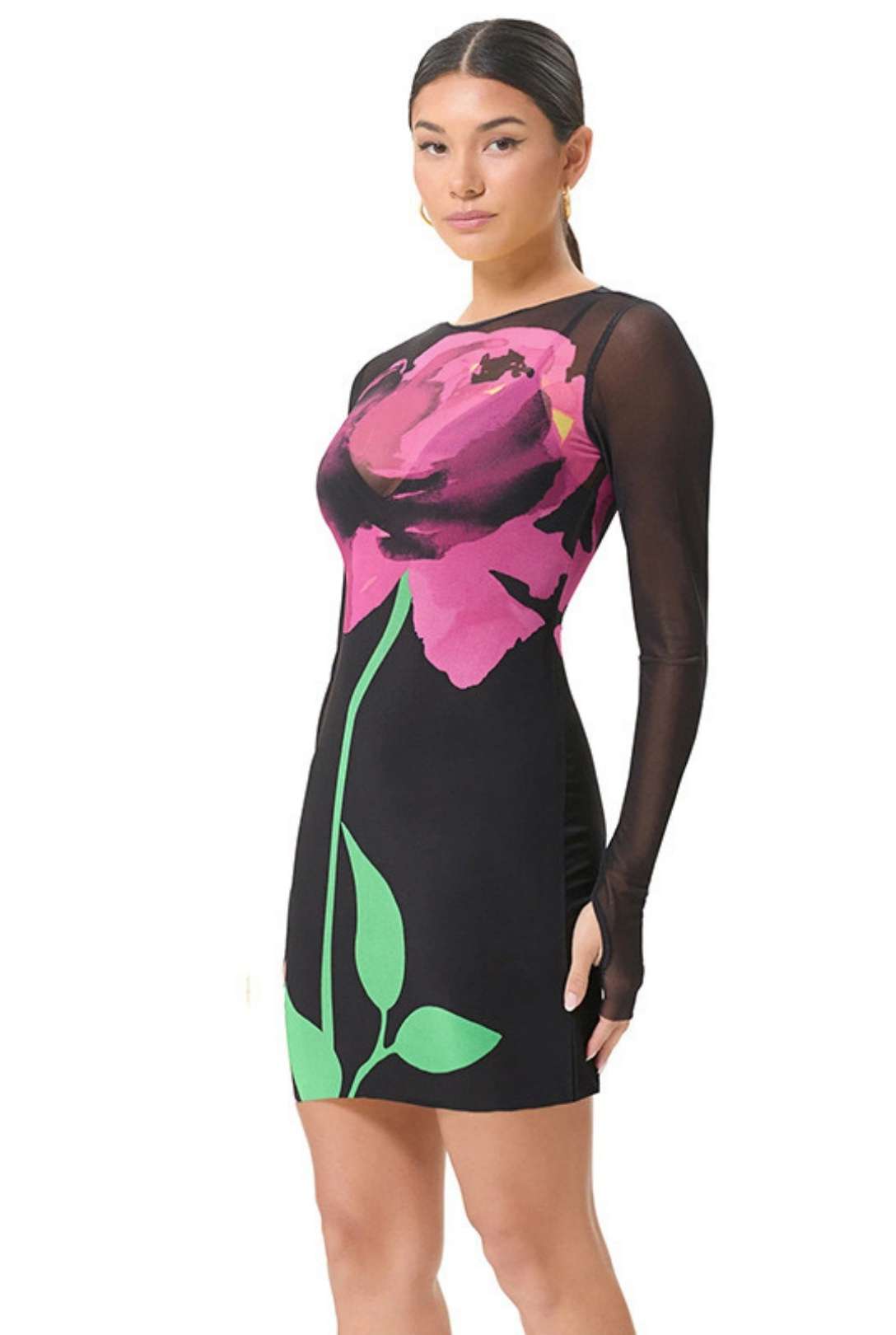 Mesh Printed Backless Rope Round Neck Long-sleeved Dress