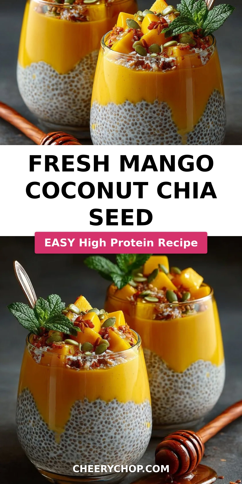 Fresh Mango Coconut Chia Seed