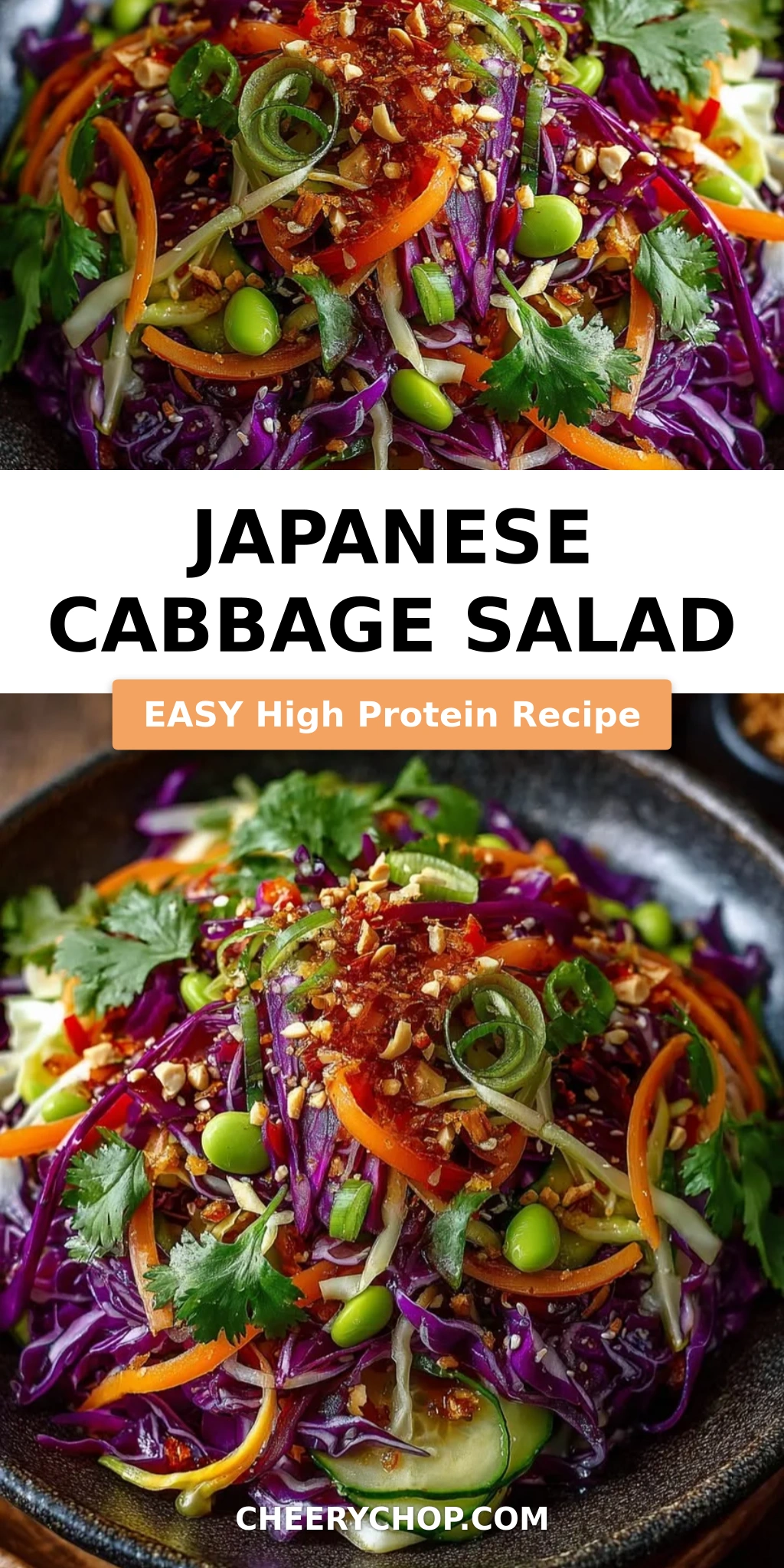 Japanese Cabbage Salad