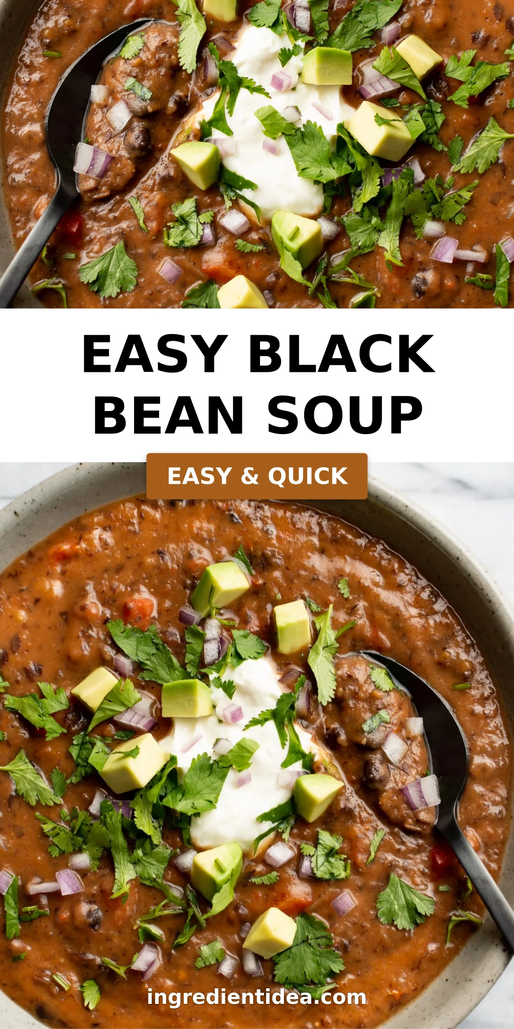 Easy Black Bean Soup