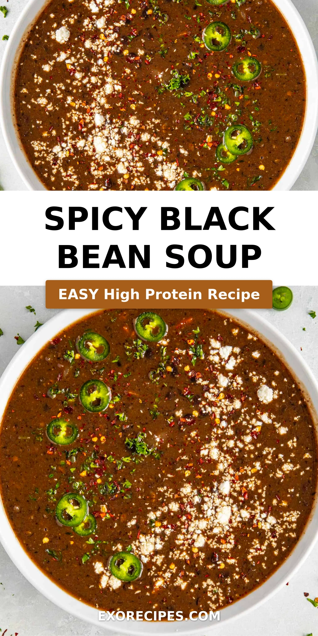 Spicy Black Bean Soup