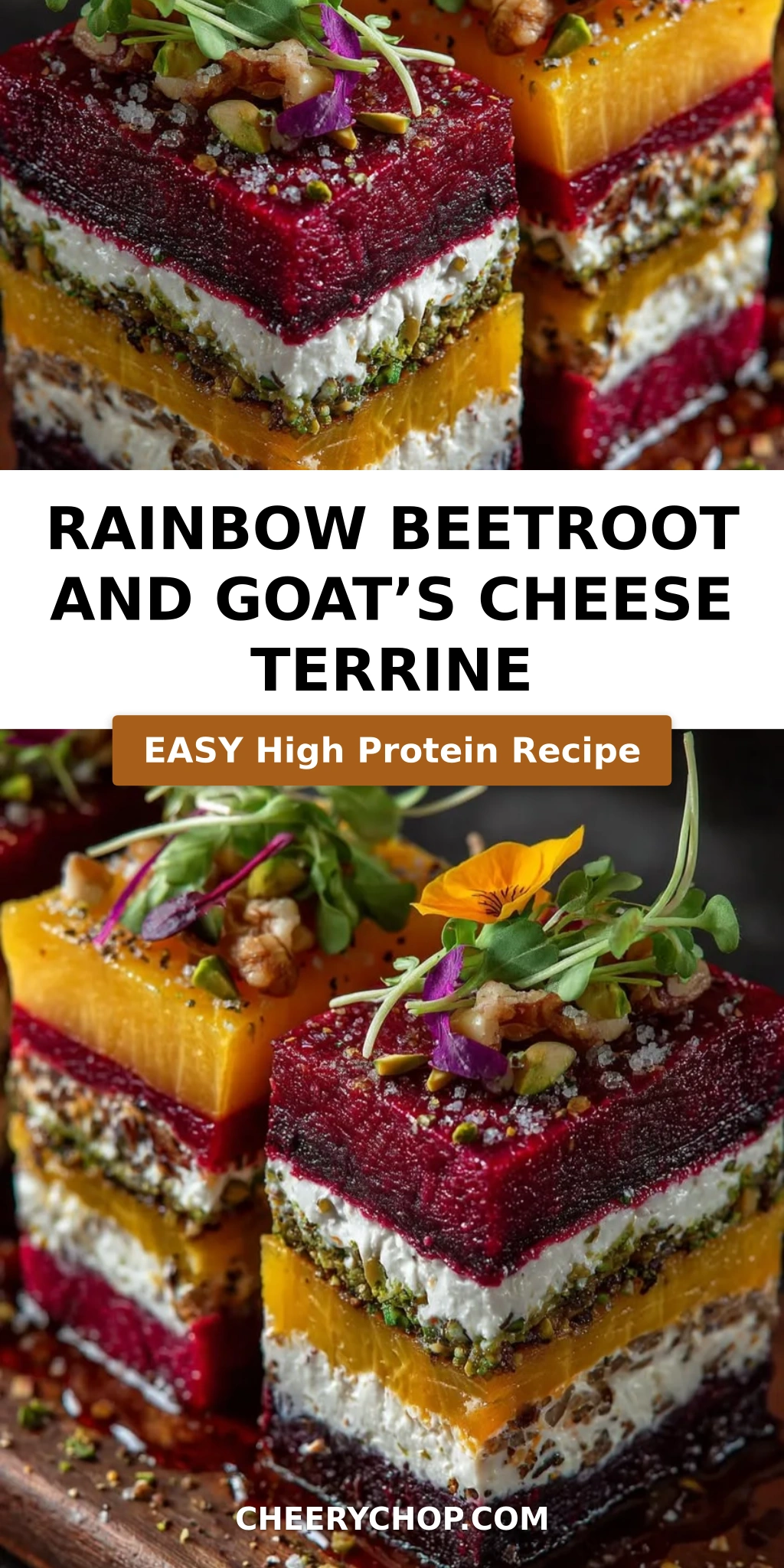 Rainbow Beetroot and Goat’s Cheese Terrine