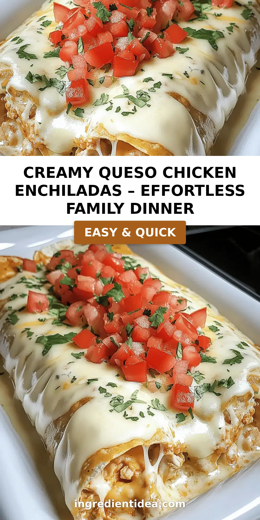 Creamy Queso Chicken Enchiladas – Effortless Family Dinner