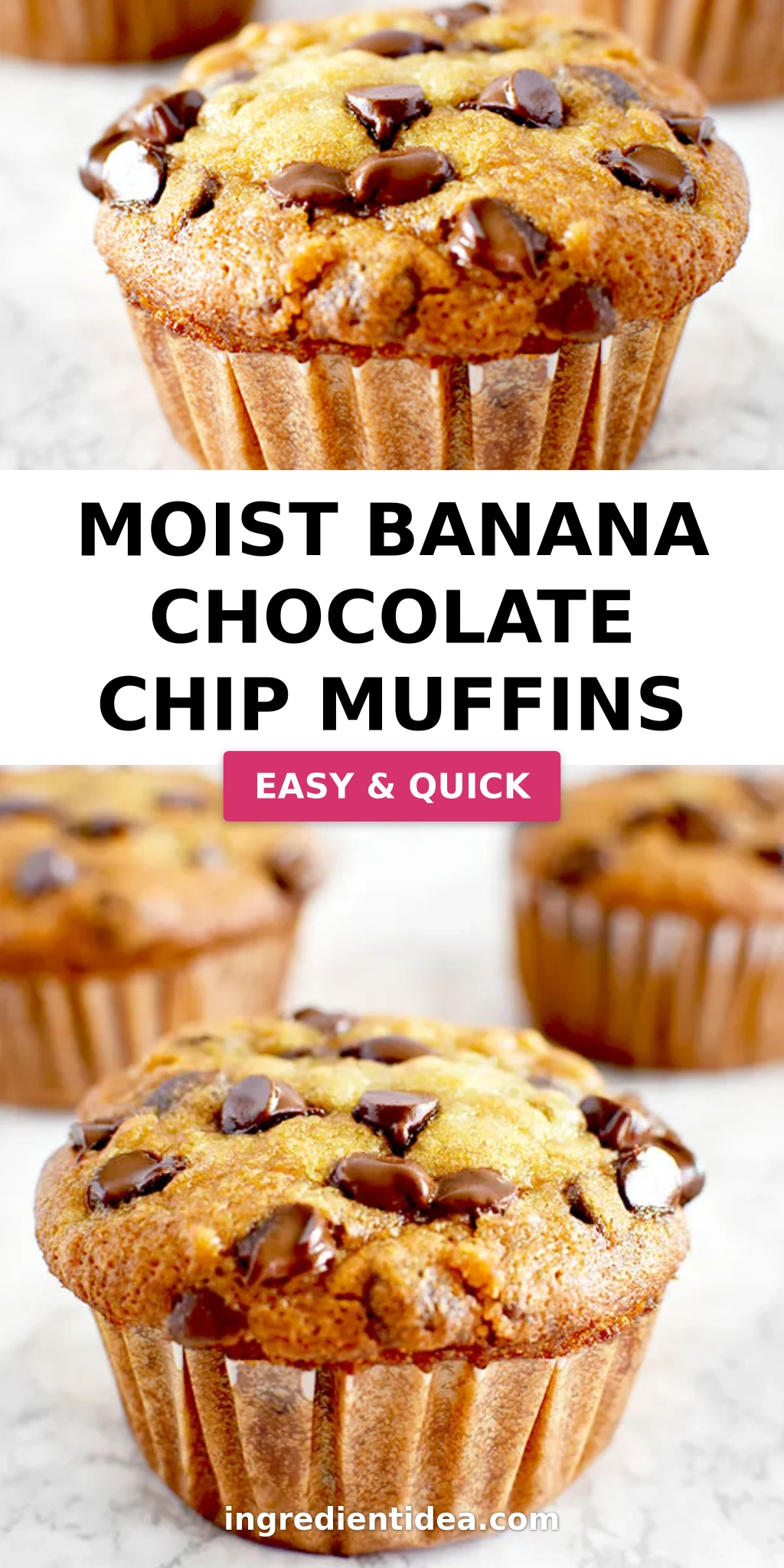 Moist Banana Chocolate Chip Muffins