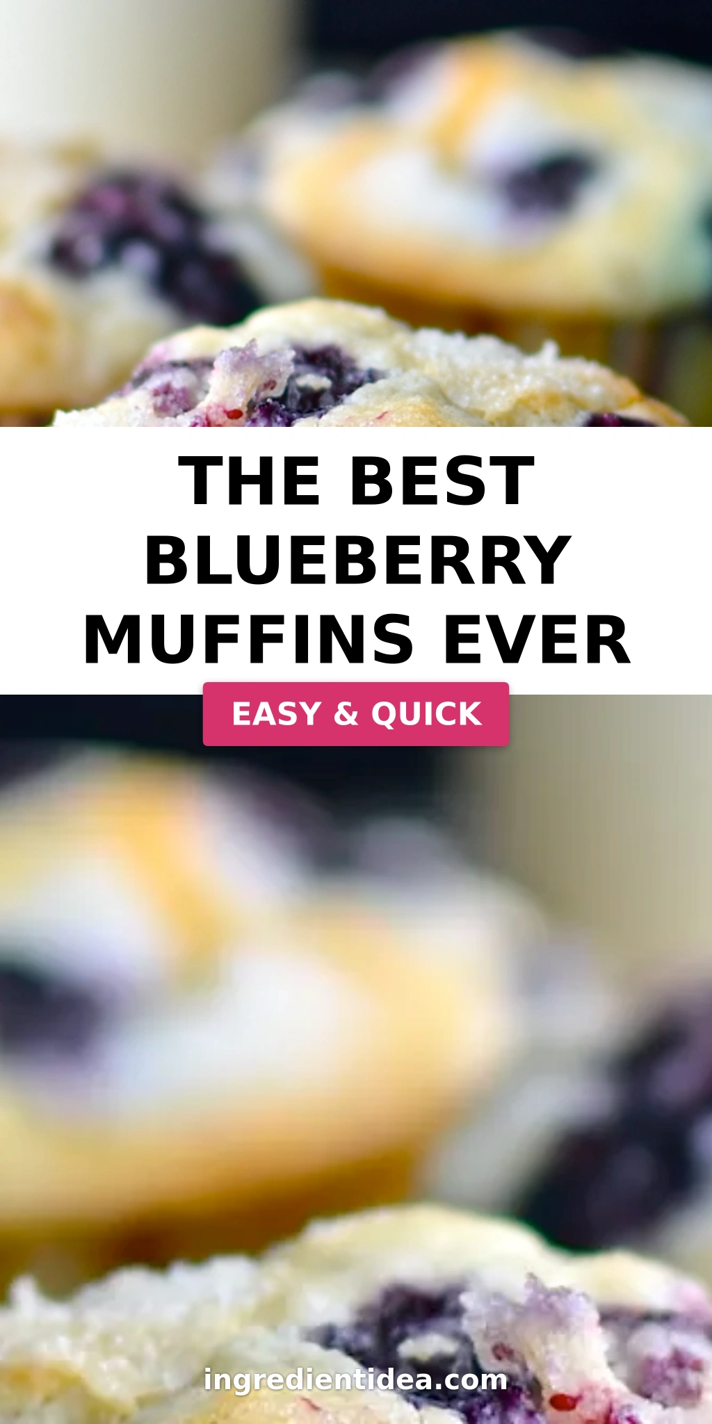The Best Blueberry Muffins Ever