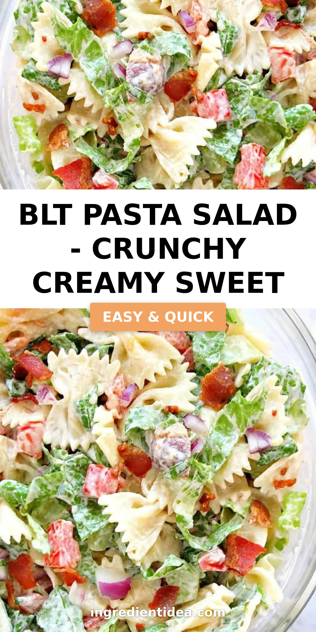 BLT Pasta Salad - Crunchy Creamy Sweet