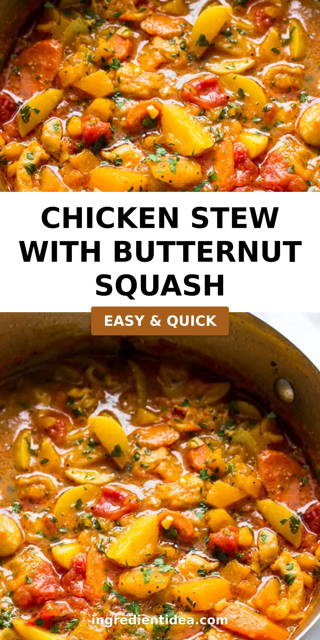 Chicken Stew with Butternut Squash