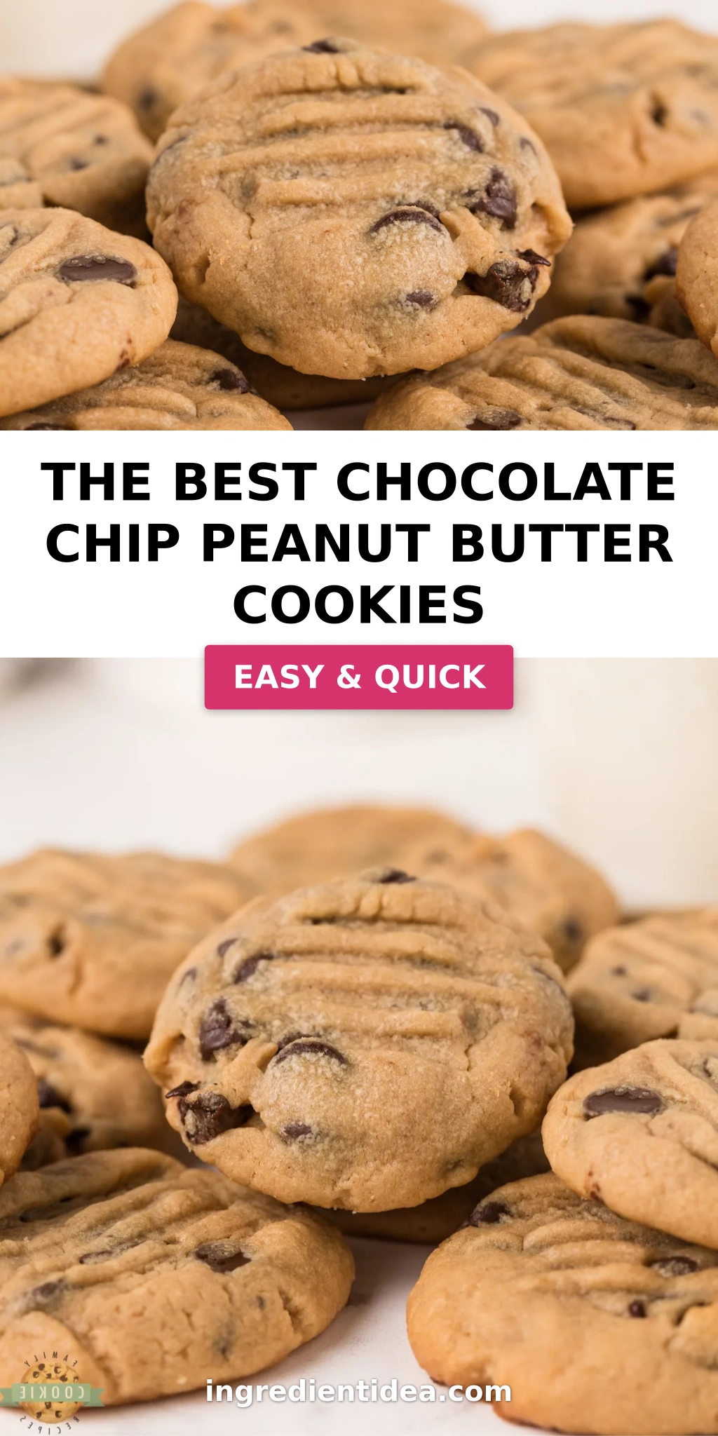 THE BEST CHOCOLATE CHIP PEANUT BUTTER COOKIES
